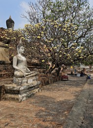 Фото отзыва 1: экскурсия "Из&nbsp;Бангкока в&nbsp;Аюттайю&nbsp;— древнюю столицу Сиама"