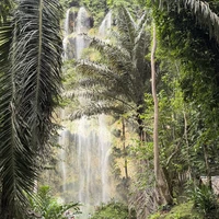 Фото отзыва 1: экскурсия "Незабываемый день на Себу: снорклинг с акулами, сардинами и черепахами"