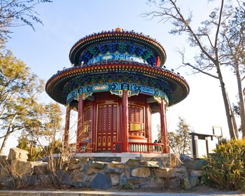 Фото отзыва 3: авторский тур "Большой тур по Поднебесной: Великая Китайская стена, Терракотовая армия и рисовые террасы"