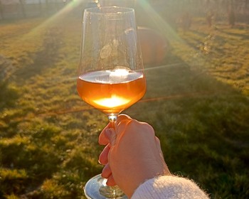 Винодельня среди гор Картли