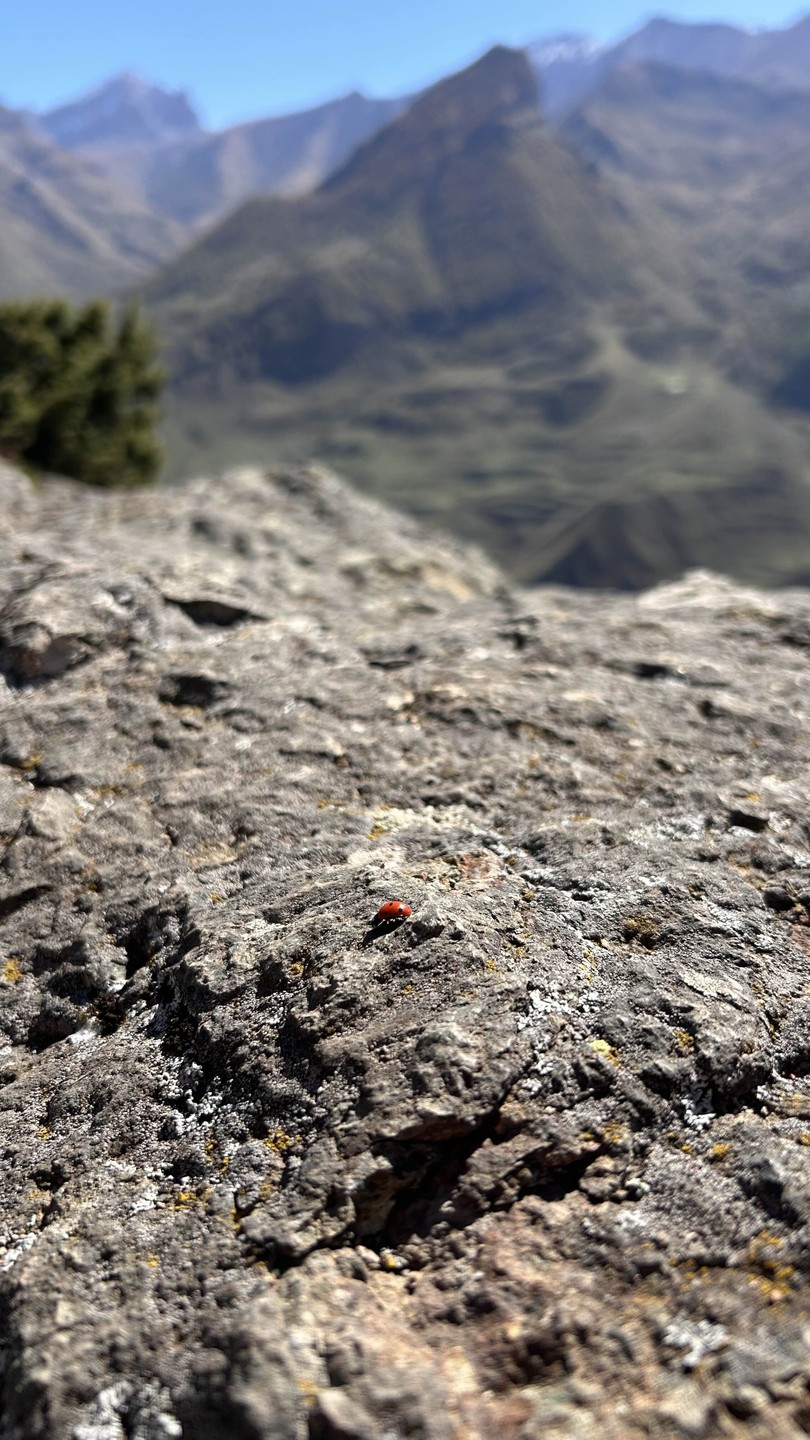 Все очень круто и супер комфортно. Гид Николай шикарен. Маршрут включает в себя много интересных локаций