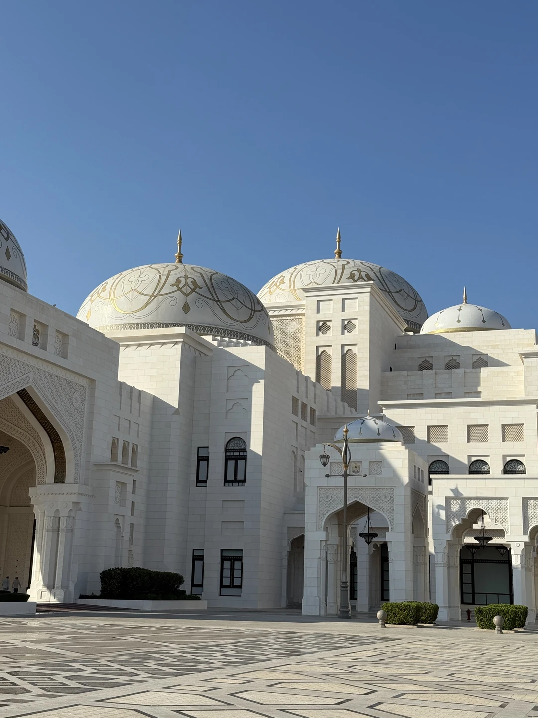 Отличная экскурсия в Абу-Даби! Огромное спасибо гиду Умару за его профессионализм и тактичность. Он безупречно организовал