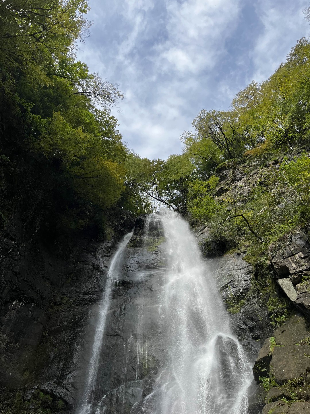 Потрясающая экскурсия! Ия отличный рассказчик и организатор, а также очень душевный и внимательный человек. У нас