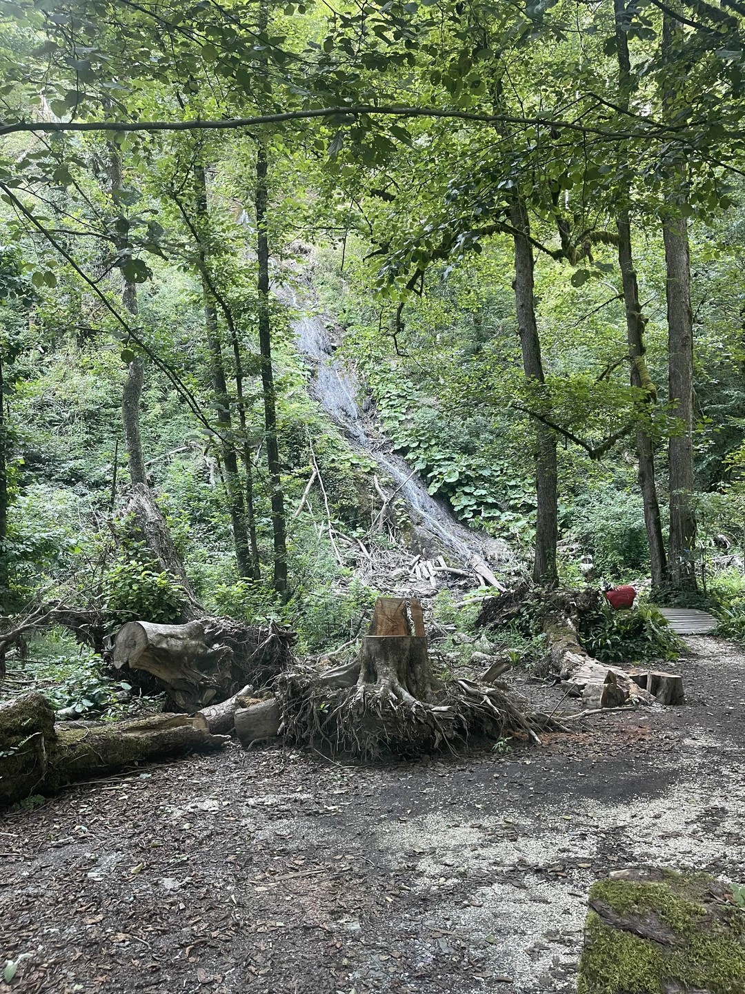 Очень понравилось все! Встреча у моего отеля! Интересные локации! Вкусная еда! Интересные вкусы вина! Спасибо!