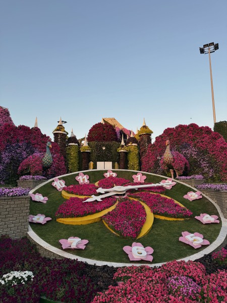 Али замечательный гид, очень интересно и с юмором рассказывал и показывал достопримечательности Дубая, его действительно интересно слушать