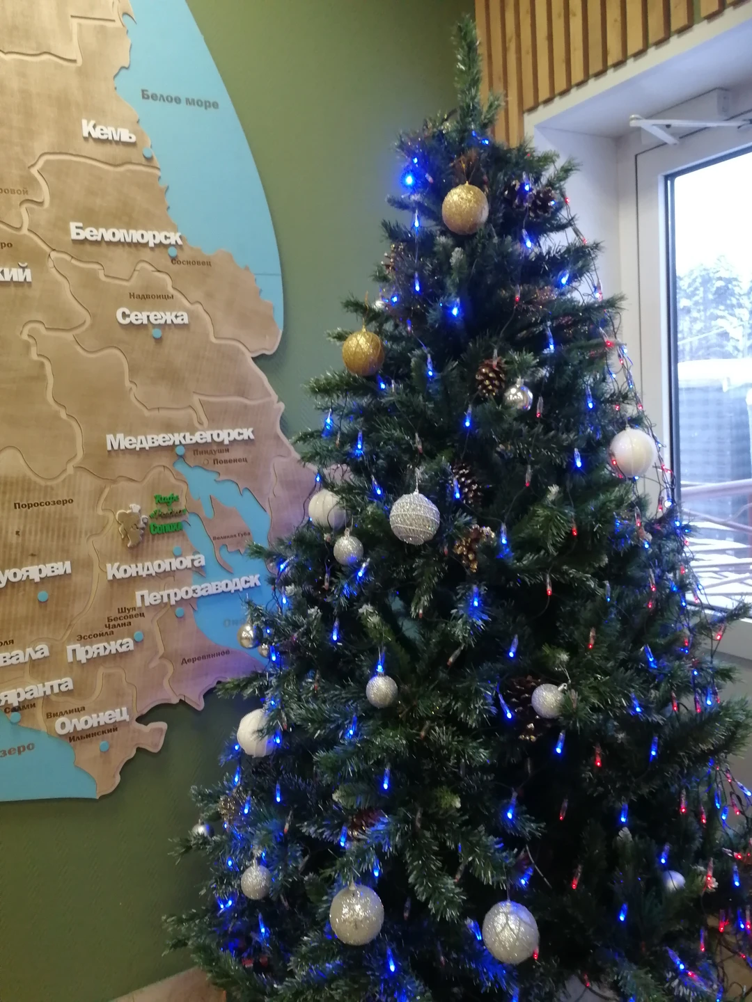 В первые были в Петрозаводске. Хотелось прочувствовать всю красоту природы этого края, поэтому выбрали данную экскурсию