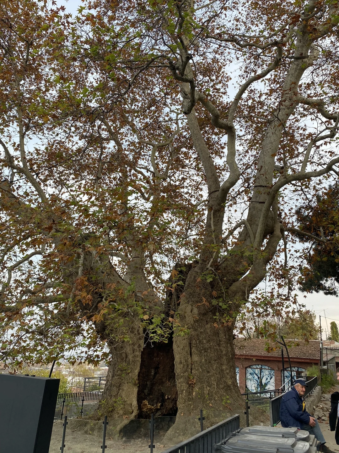 Хорошая экскурсия) 13 часов пролетели незаметно, хотя по наполненности видами, вкусами и ощущениями будто несколько дней