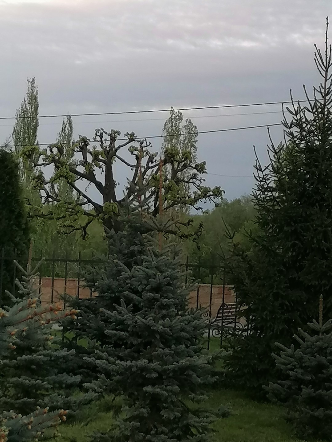 Добро пожаловать в Тамбов (Vladimir)