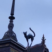 reviews img