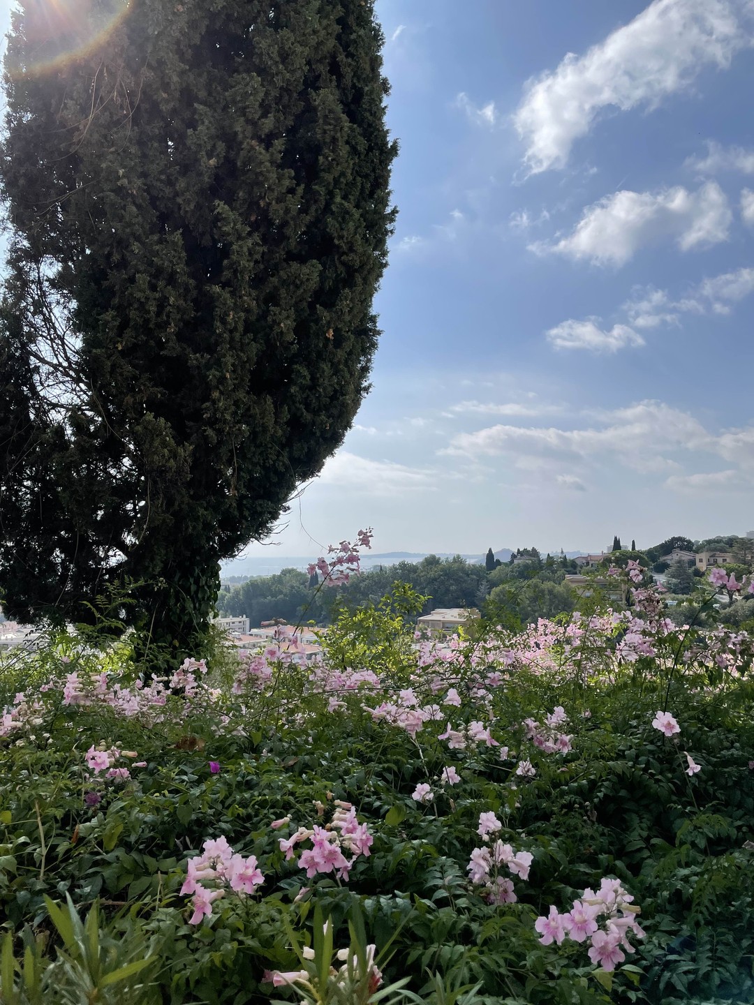 Отличная экскурсия, невероятные красоты и атмосфера. Живописный домик Ренуара с оригинальными полотнами, сохранивший очарование прошлого века.
