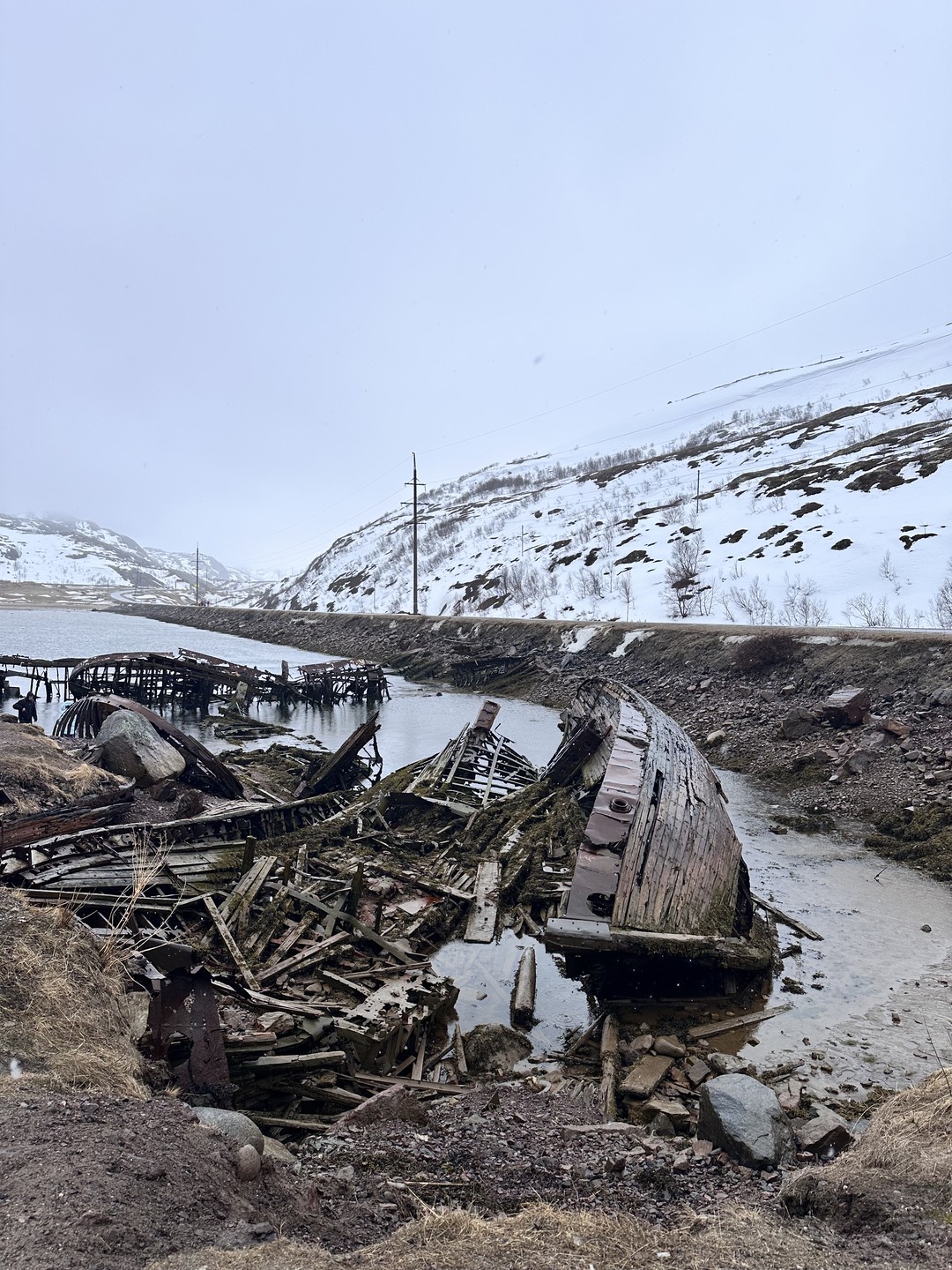 Териберка: вдоль побережья Баренцева моря (Анастасия)