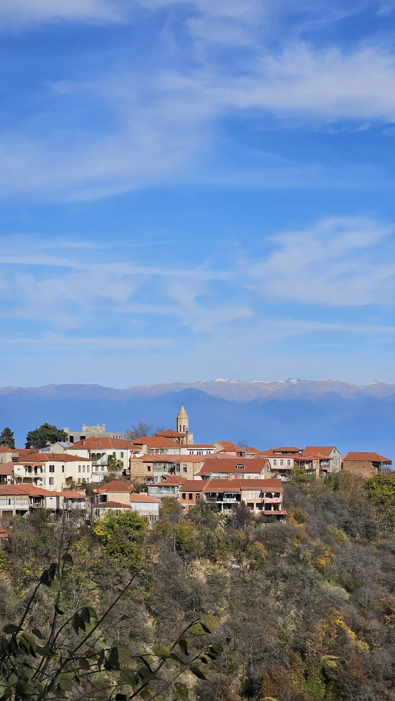 Отличная экскурсия по Кахетии, которая идеально сочетает природу, историю и гастрономию. Очень понравились виды на долину