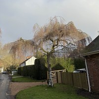 Фото отзыва 1: экскурсия "Путешествие в графство Кент: ощутить дух Старой Англии"