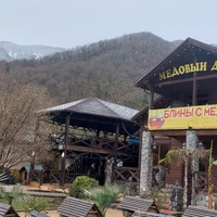 Фото отзыва 3: экскурсия "Сокровища Абхазии: от Гагры до озера Рица + Новый Афон"