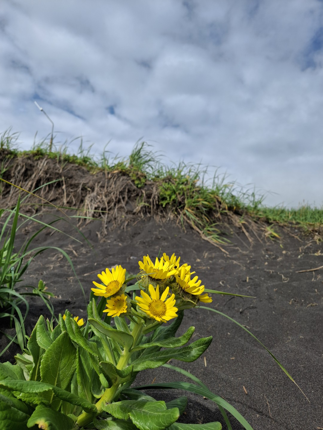 Мне очень понравилось!