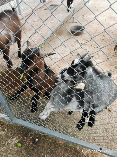 Очень насыщенная экскурсия