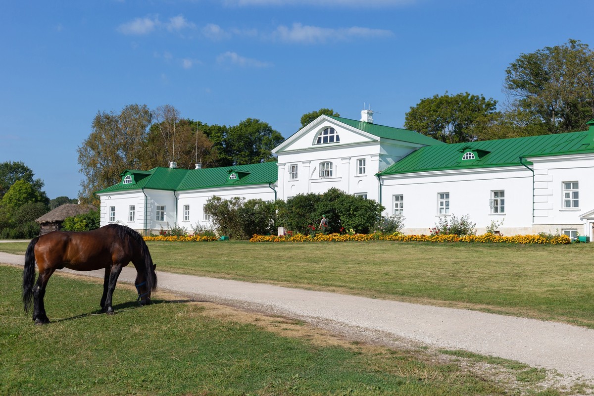Фото: Тульская земля и Лев Толстой (на вашем автомобиле)