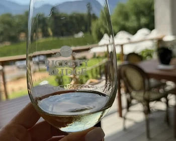 Франшхук: поездка на винном трамвае, живописные виноградники и эстетичный пикник