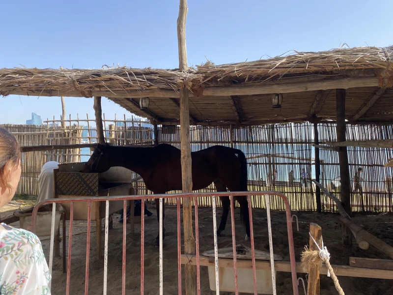 Красоты Абу-Даби - столицы ОАЭ (Мария)