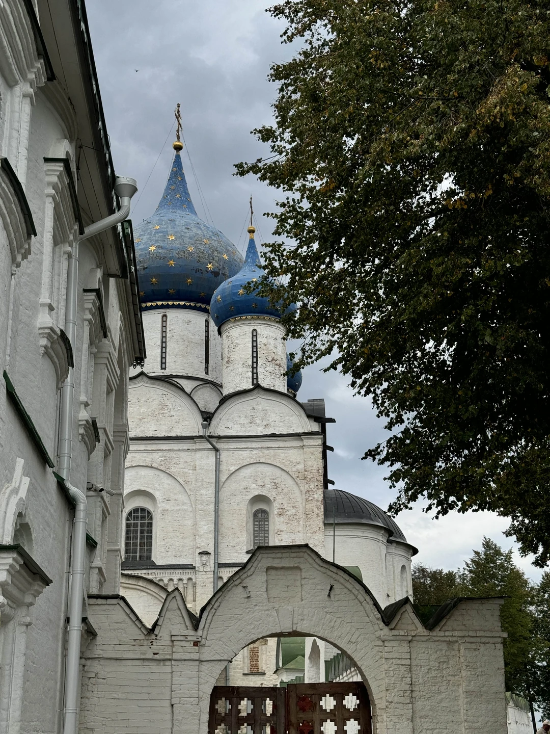 Евгений - замечательный гид. Экскурсия была живой, интересной, с юмором и легкой подачей. Мы как будто
