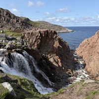 Фото отзыва 1: экскурсия "Териберка и морская прогулка за 1 день! (в группе)"