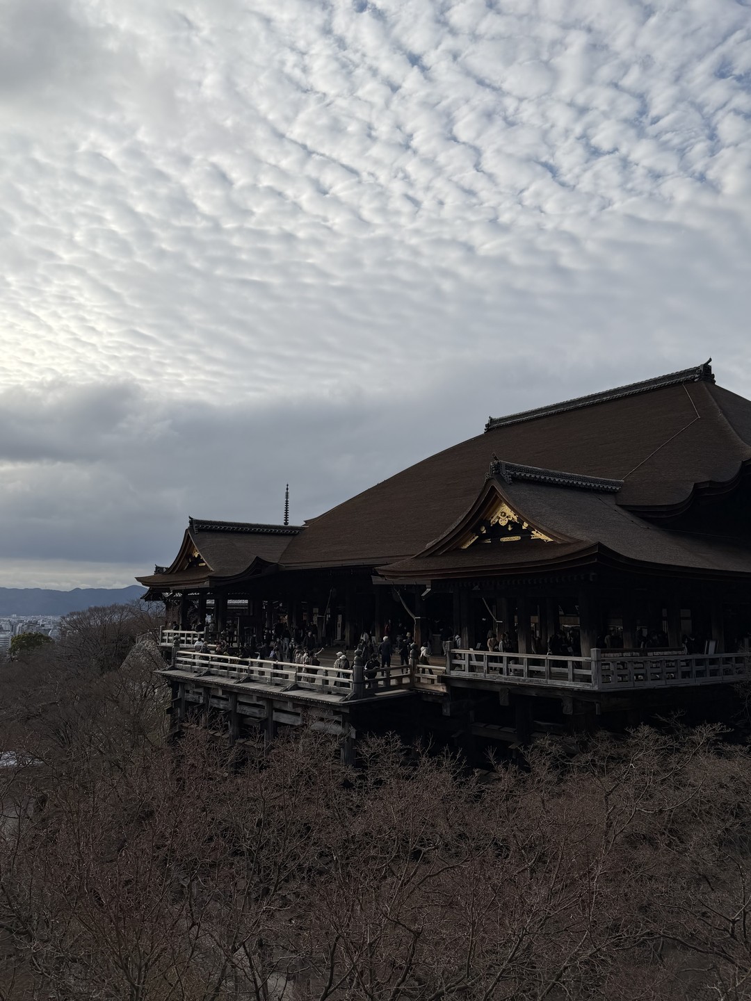 Очень понравилась экскурсия, считаю соотношение цена-качество идеальным для первого знакомства с Киото. Посмотрели все намеченное в
