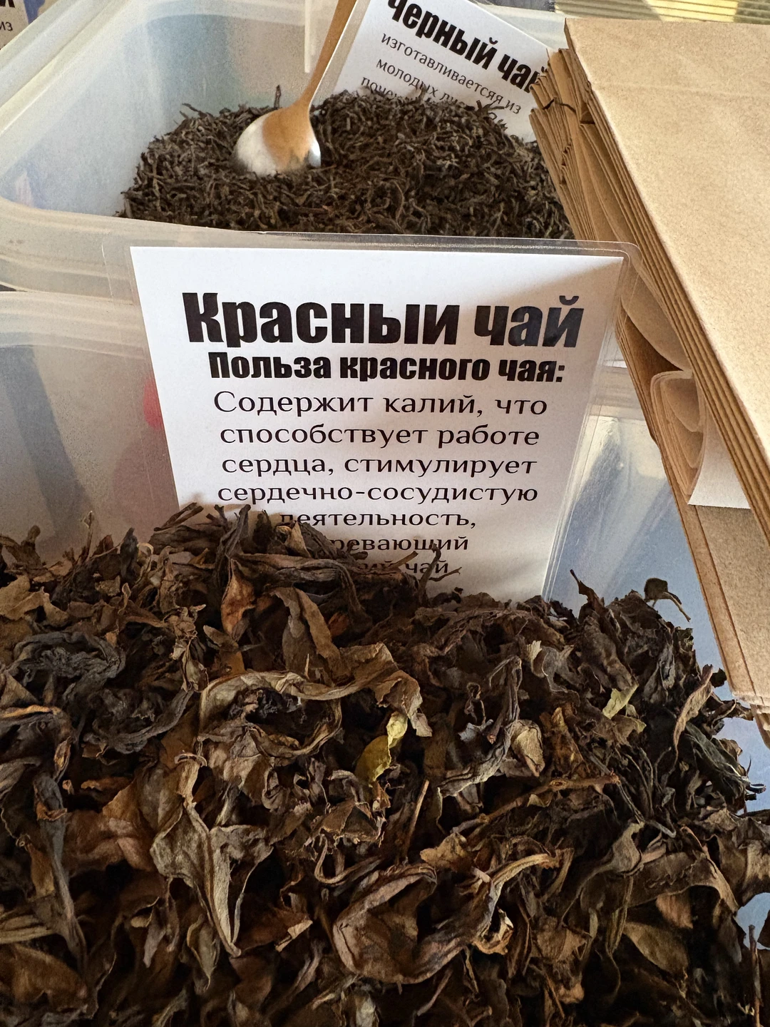 Поездка состоялась, несмотря на проливной дождь