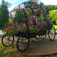 Фото отзыва 4: экскурсия "Финские истории Зеленогорска"
