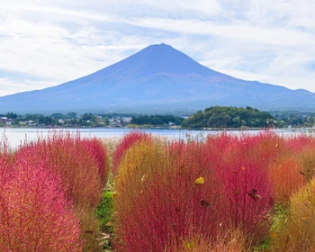 Священная Фудзи, отдых в рёкане с онсэном и кайсэки