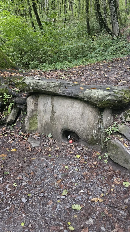 Джиппинг по Красной Поляне - из Адлера или Сириуса