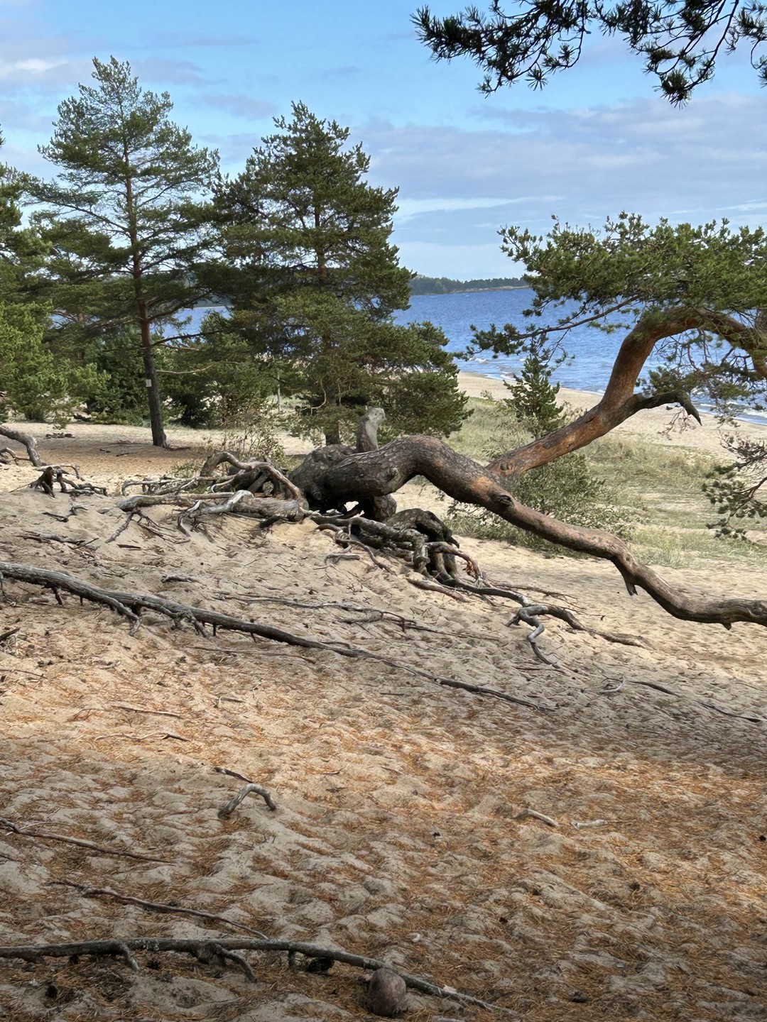 Место силы Карелии (Татьяна)