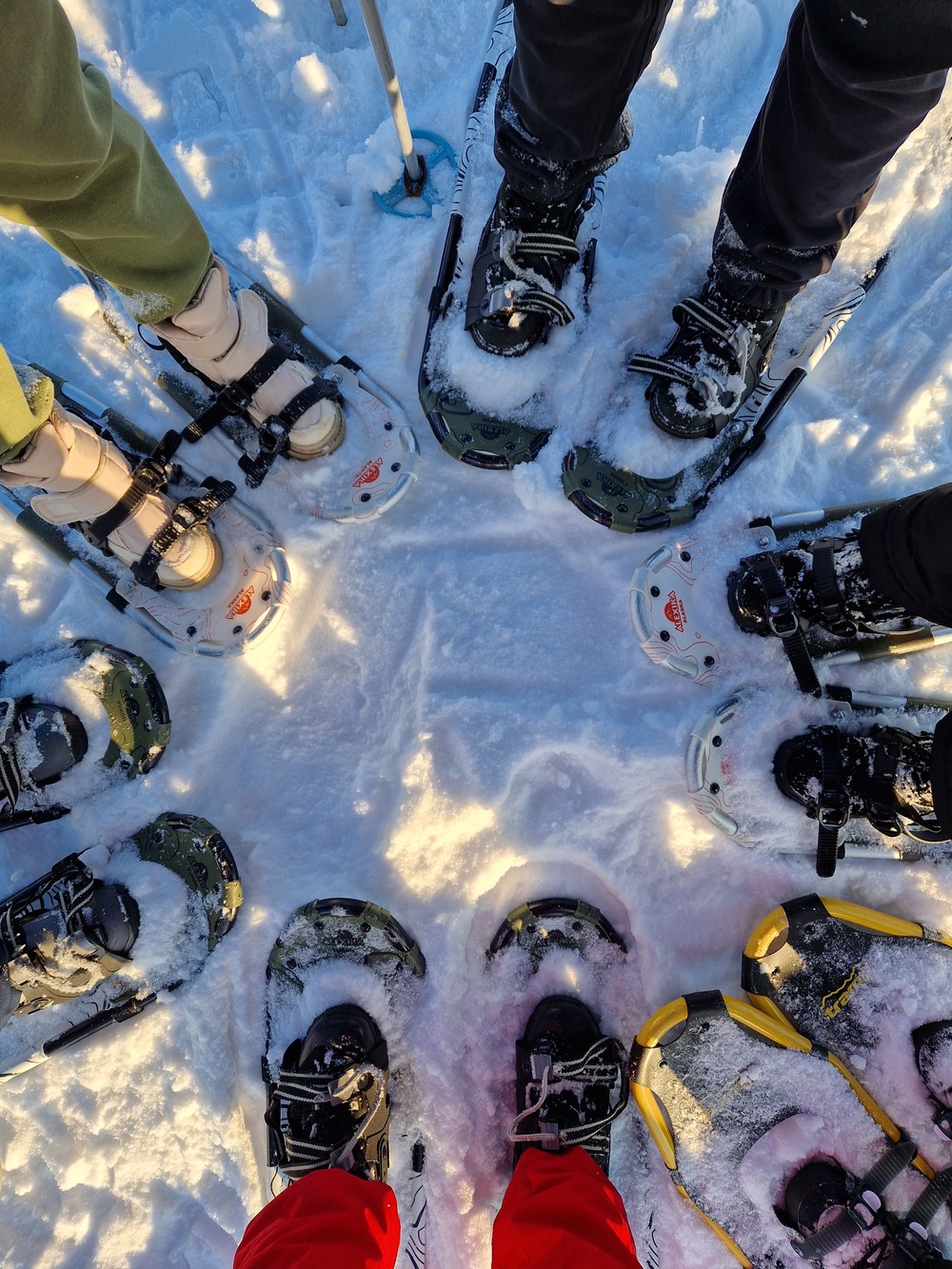 Активная прогулка на снегоступах в окрестностях Мурманска
