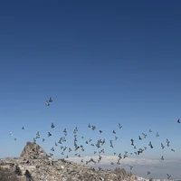 Фото отзыва 1: экскурсия "Южная и северная Каппадокия за 1 день"