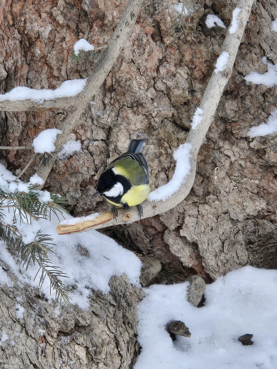Прекрасная поездка, отличный гид, комфортный автомобиль - все было здорово, даже погода нам благоволила)
