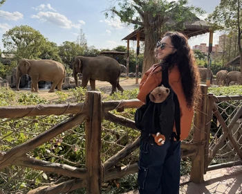 Свободный день в Шанхае