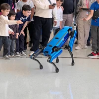 Фото отзыва 2: экскурсия "Грандиозный Дубай — из Фуджейры"