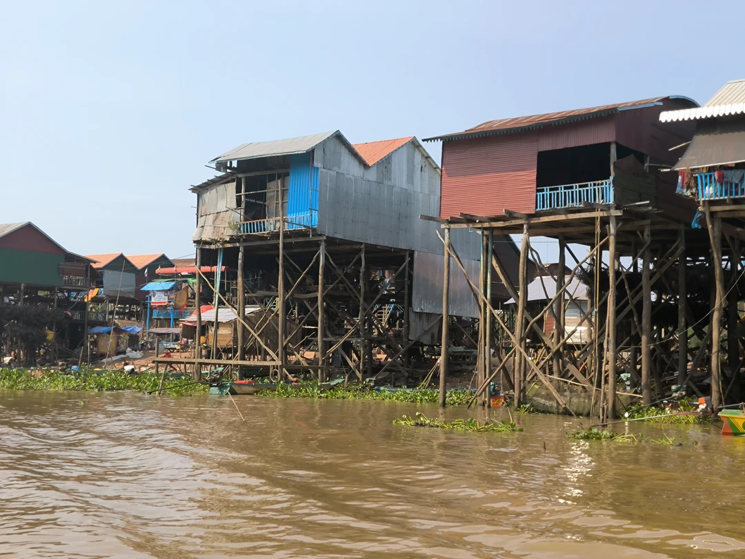 Великолепный гид! Одн из лучших в моем опыте (а опыт достаточно большой). Компетентность, глубина знаний в