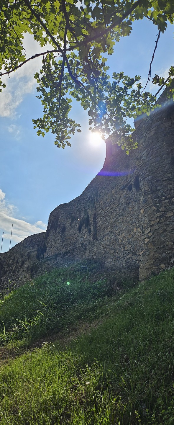 Большой день в Кахетии