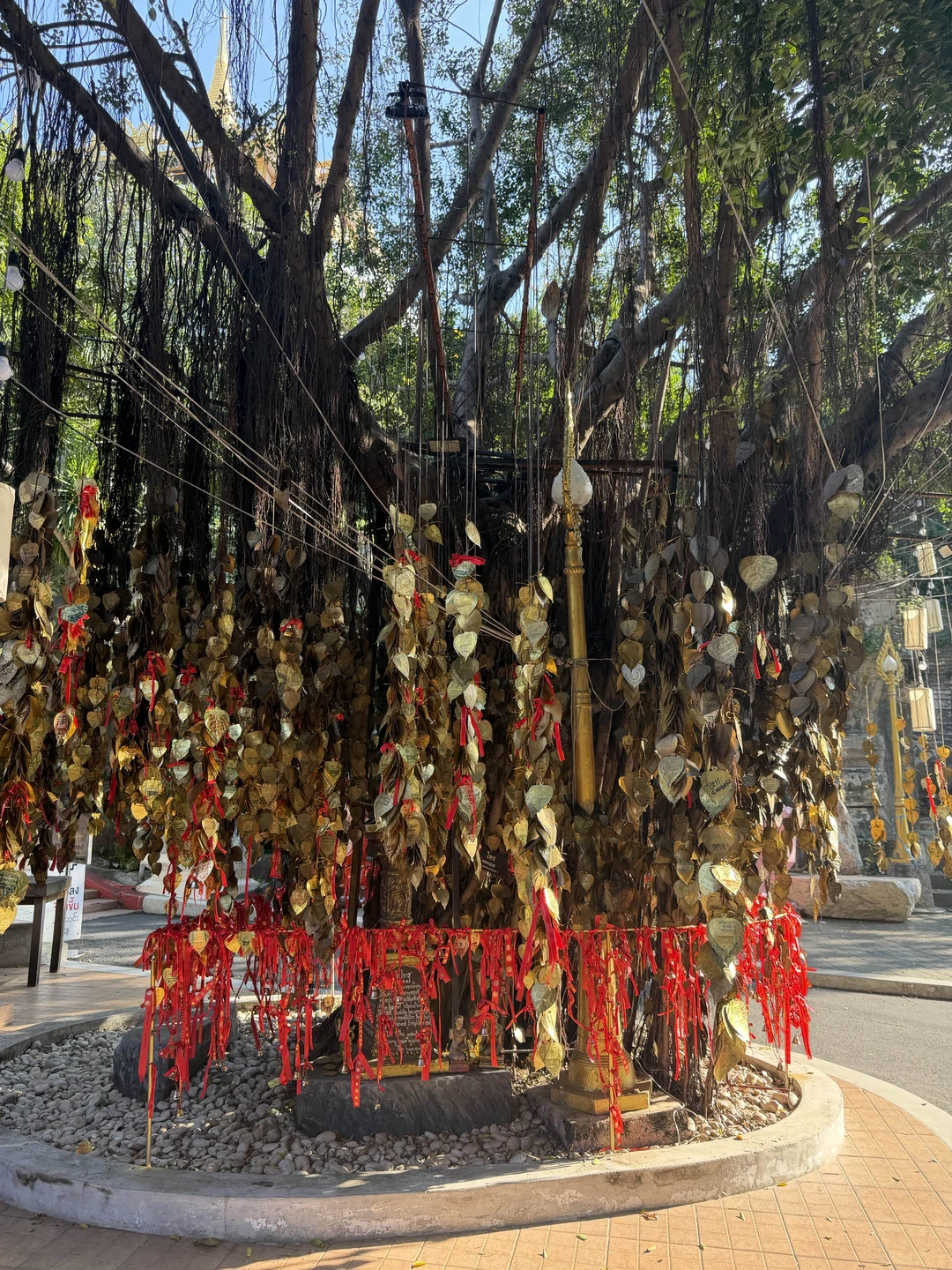 Экскурсовод проводит свою экскурсию по очень интересным маршруту – довольнотаки протяжённый маршрут, маршрут занимает много времени