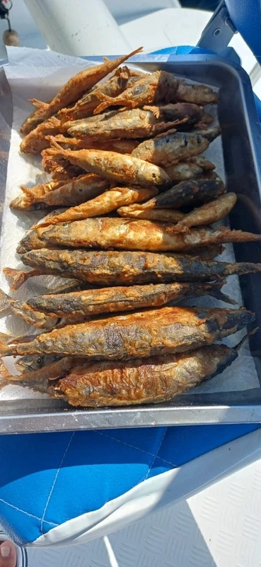 Рыбалка в Сочи: ловим и жарим барабульку на борту