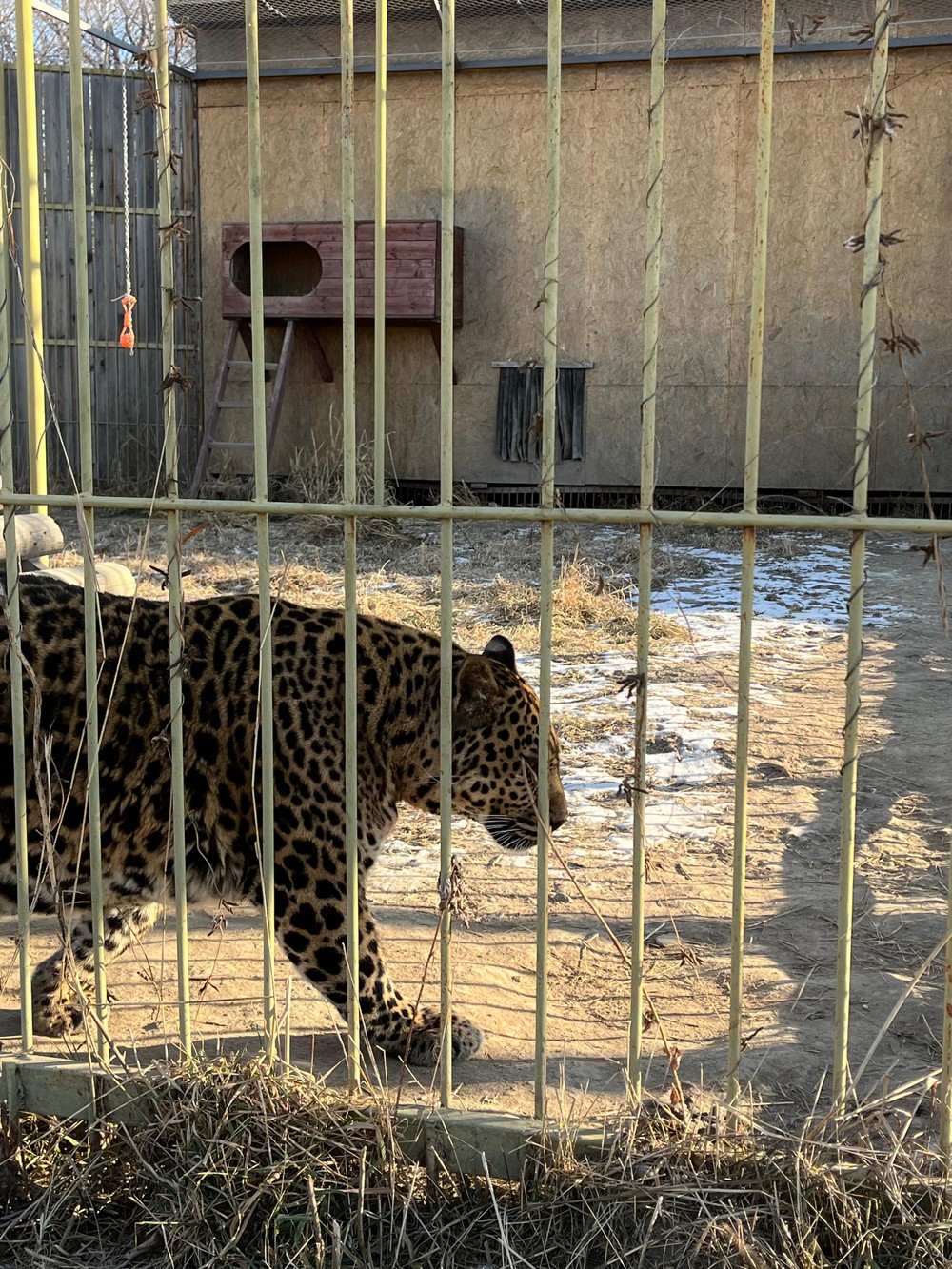 Бухты южного Приморья и парк «Белый лев» — из Владивостока (11/20)