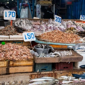 Рыбный рынок