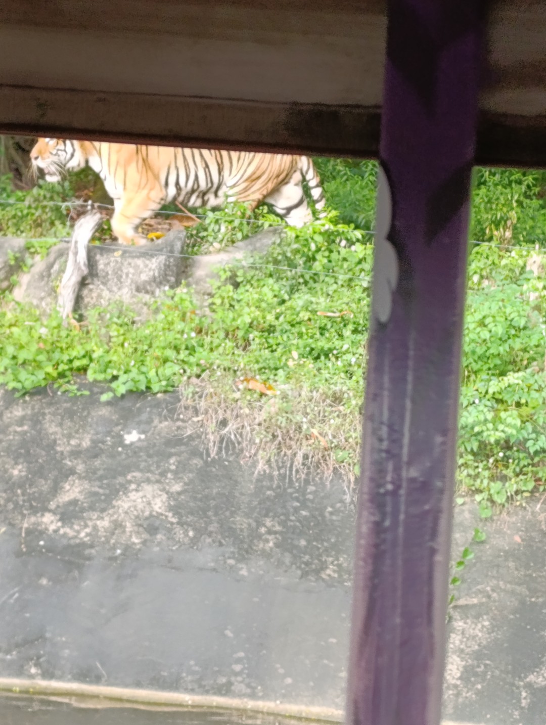 Всё включено! Лучшие места в районе Паттайи (Татьяна)