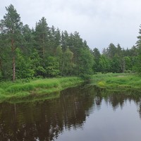 Фото отзыва 3: экскурсия "Лёгкий сплав на байдарках по Клязьме с проживанием в палатках: всё включено"
