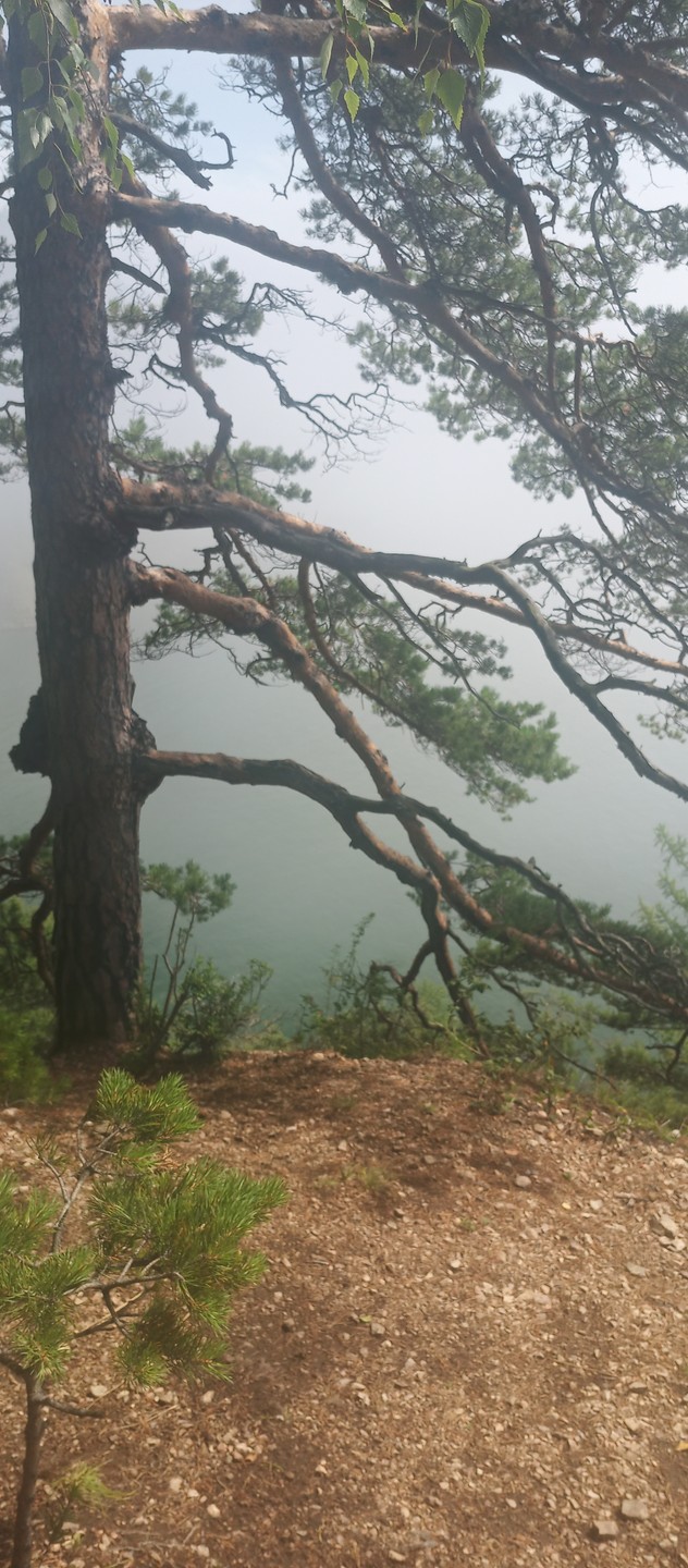 Маршрут отличный! Гид-Евгений приехал в оговоренное время. Отлично провёл по тропе. Рассказывал интересные факты, отвечал на