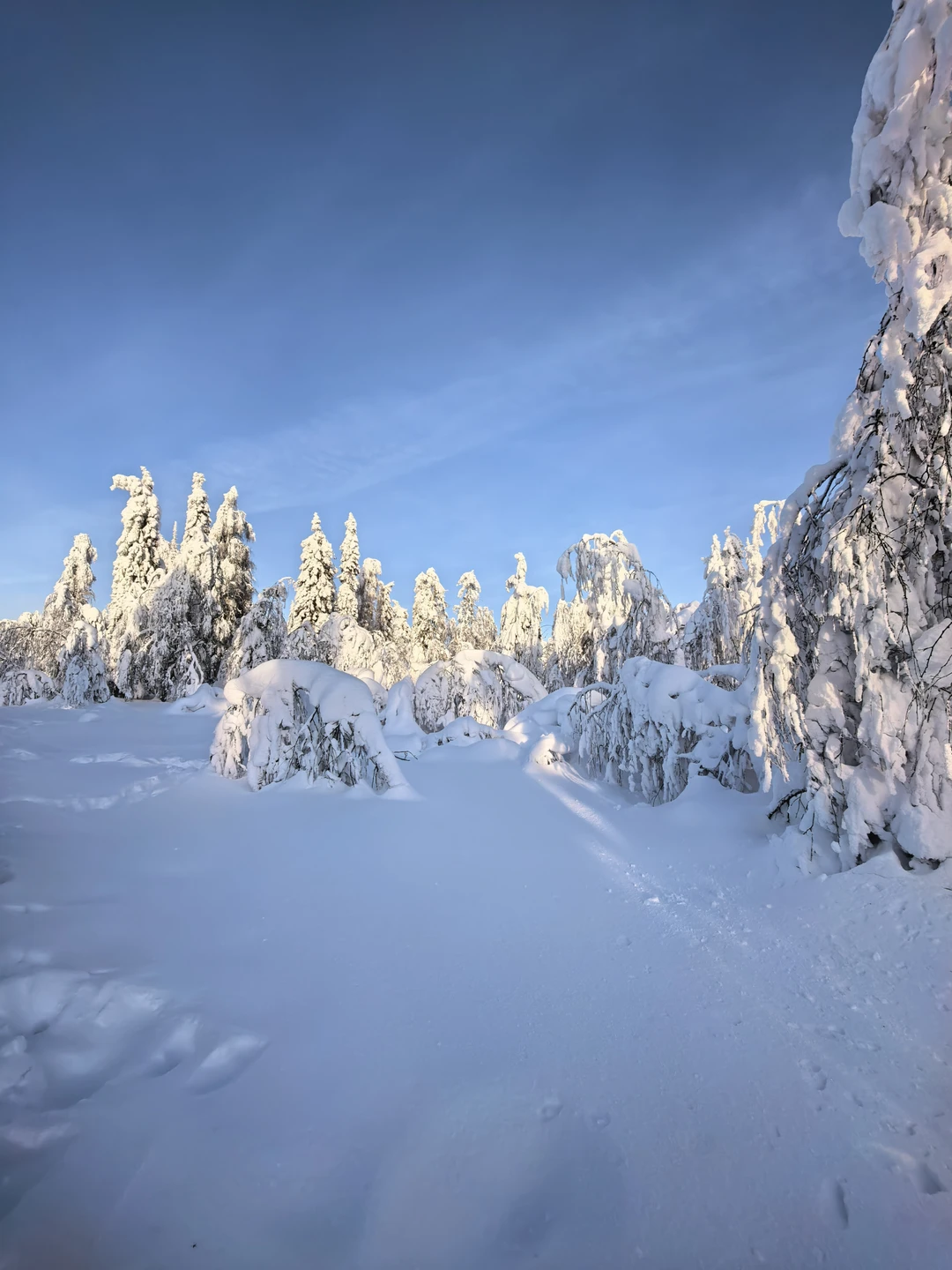 Как порой приятно побывать туристом в своём регионе! Экскурсия прошла просто на УРА. Хотя были опасения