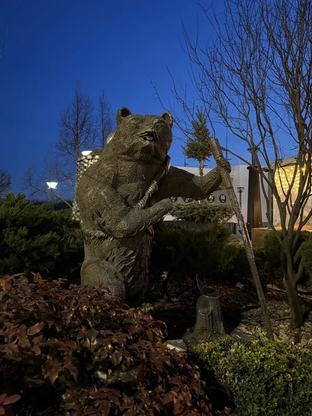 Сергей отличный эрудированный экскурсовод, абсолютно на любые темы, экскурсия гибкая поэтому какая тема больше интересна спрашивайте