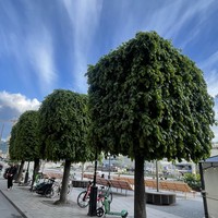 Отзыв о экскурсии "Стокгольм: истории, тайны и загадки Старого Города" — фото 1
