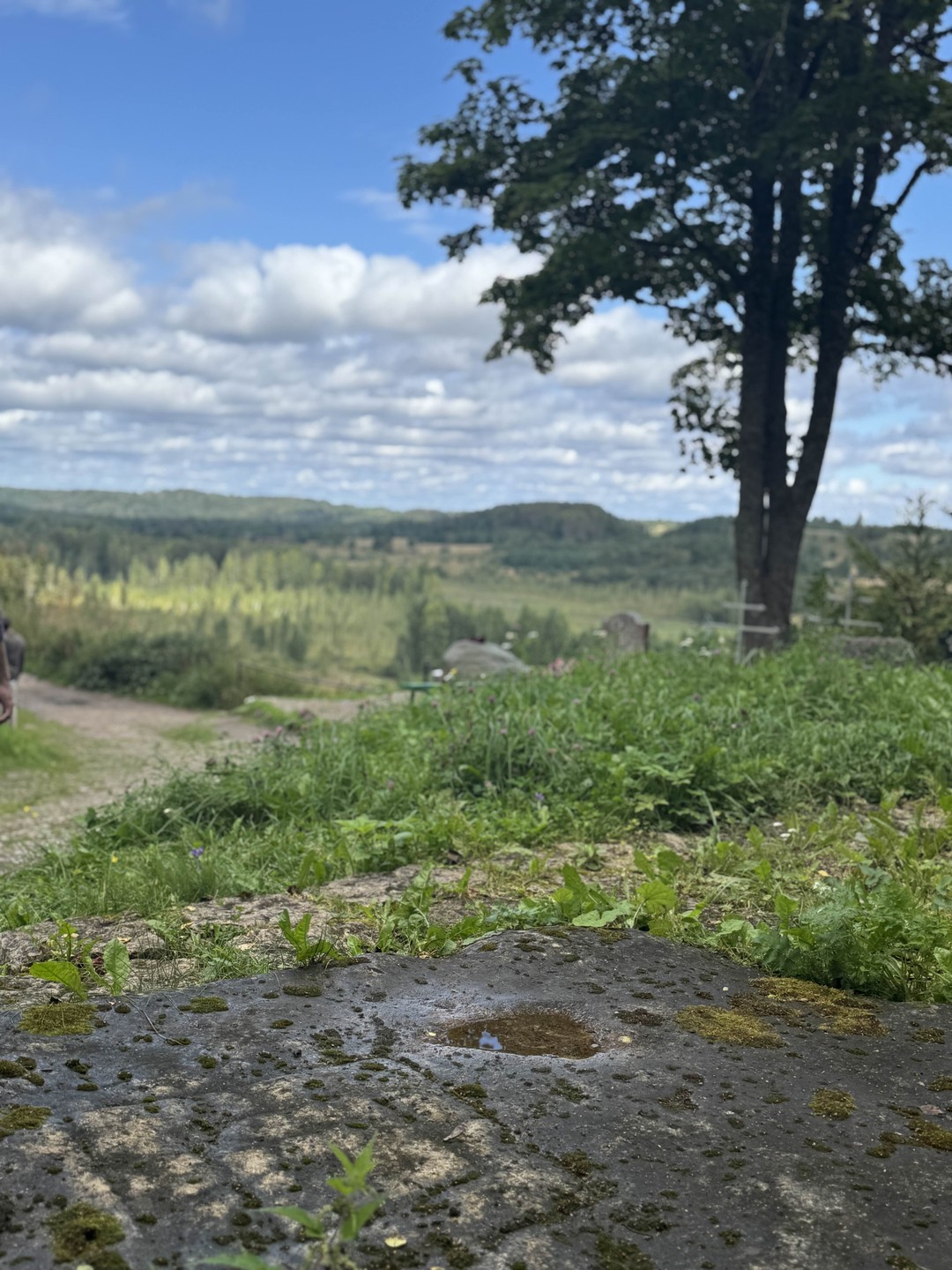 Древняя Русь без тоски: Изборск (Елизавета)