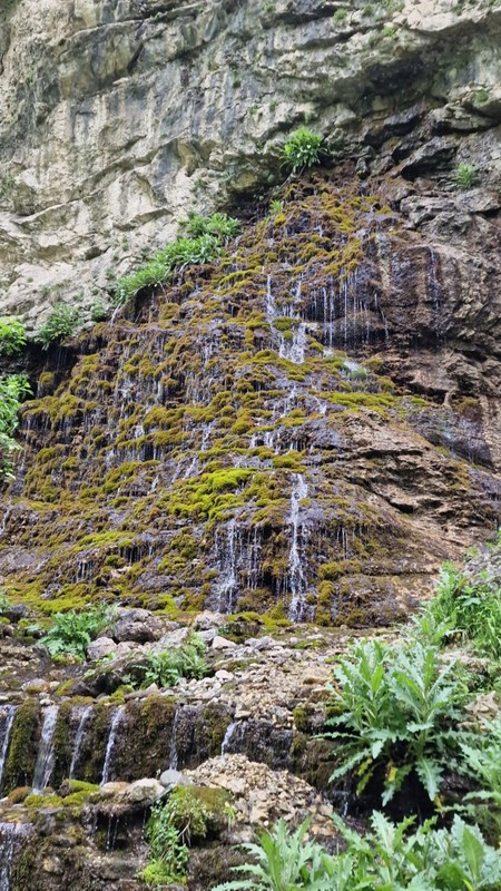 Виды Язык тролля из Кисловодска — Скандинавия в сердце Кавказских гор